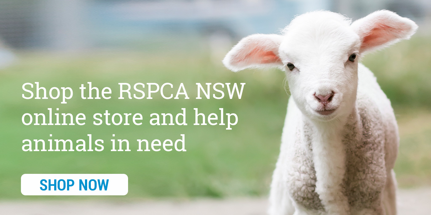 Homepage | RSPCA NSW | Helping People Help Animals