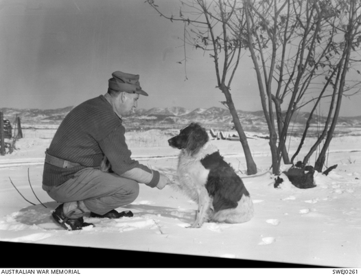 LEST WE FORGET: AUSTRALIA'S WAR - Darling Downs Vets