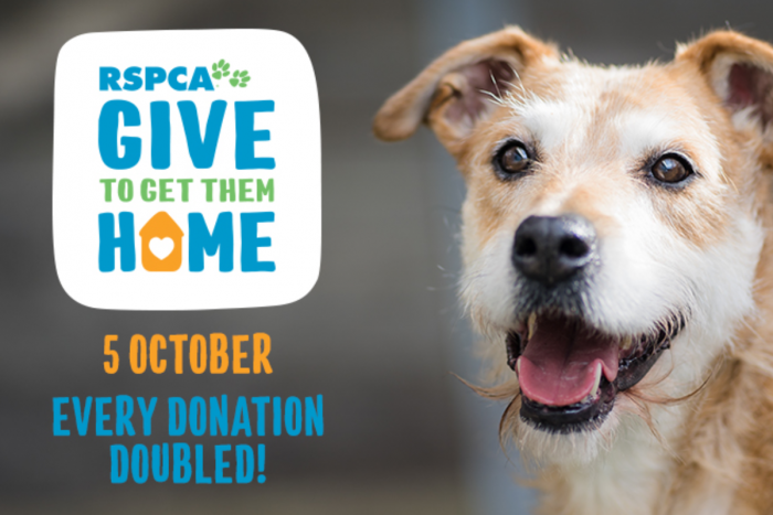 Homepage | RSPCA NSW | Helping People Help Animals