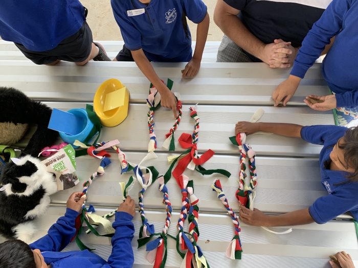 RSPCA School Visit 1