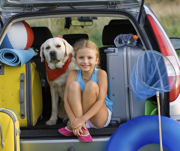 Navigating Pet Friendly Travel These Spring Holidays