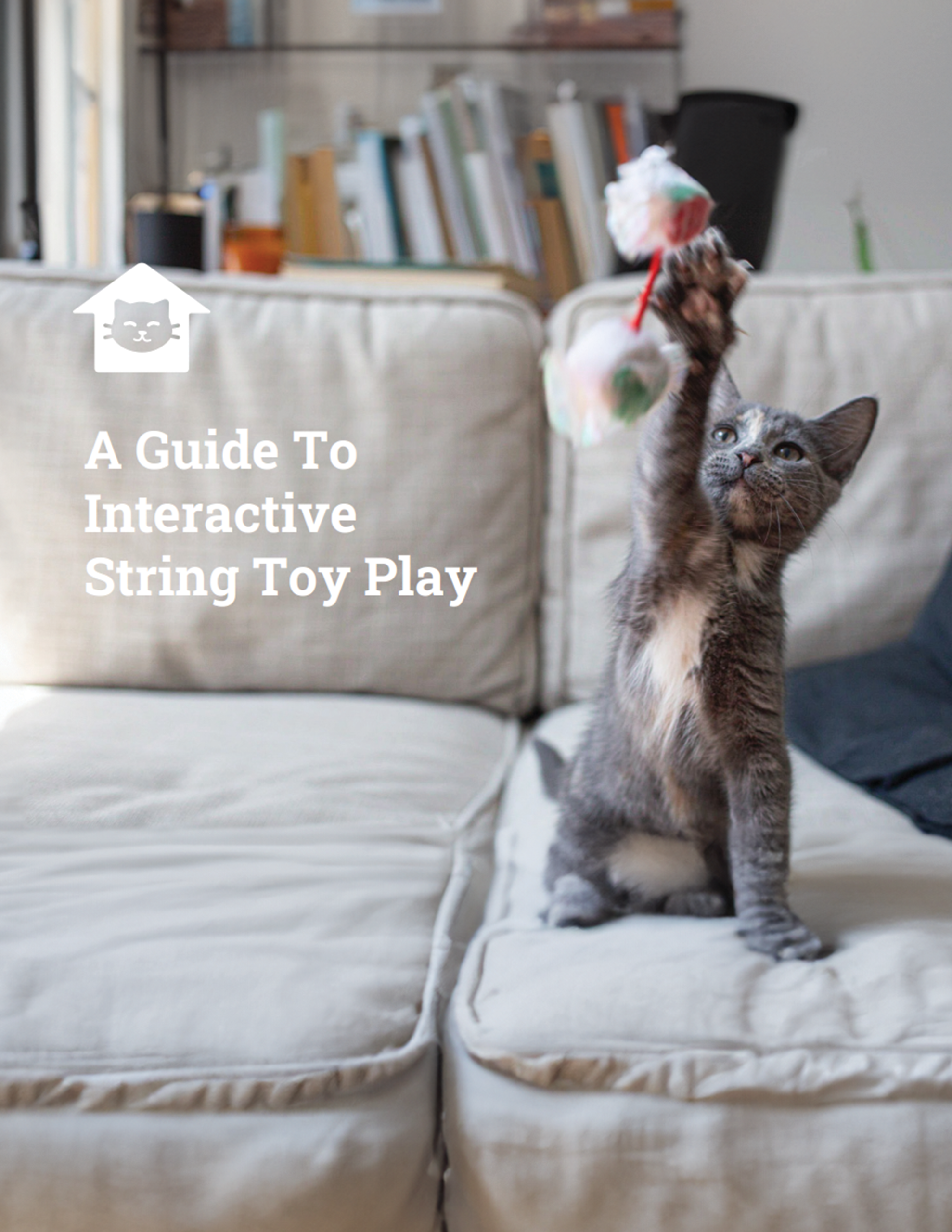 A Guide To Interactive String Toy Play