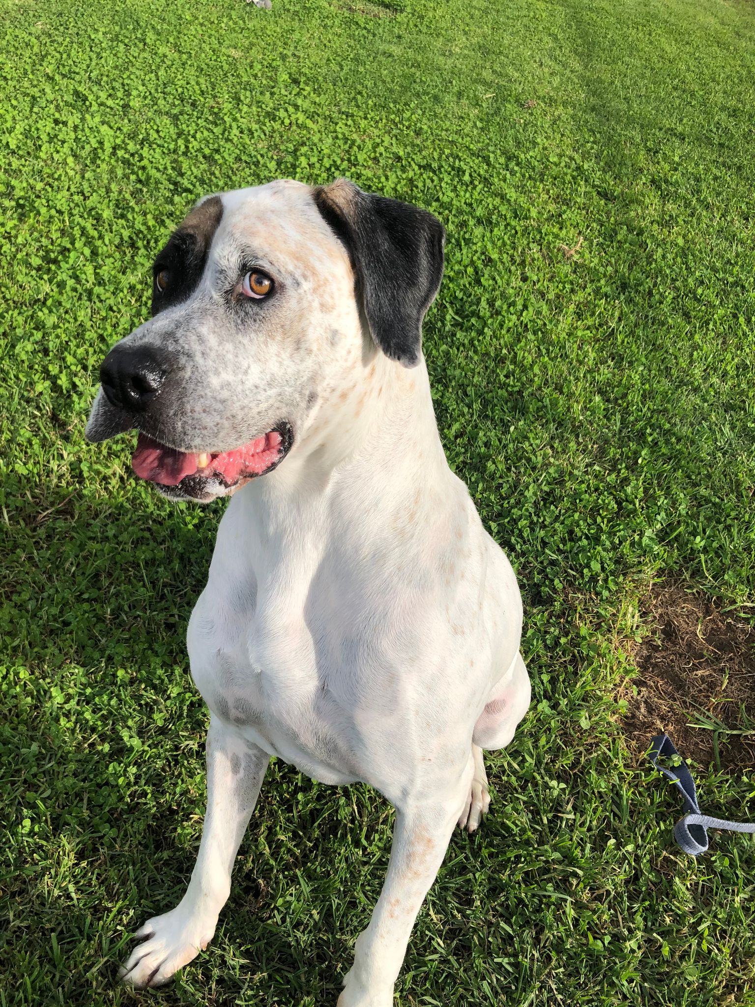 Page 71275 | RSPCA NSW - RSPCA NSW