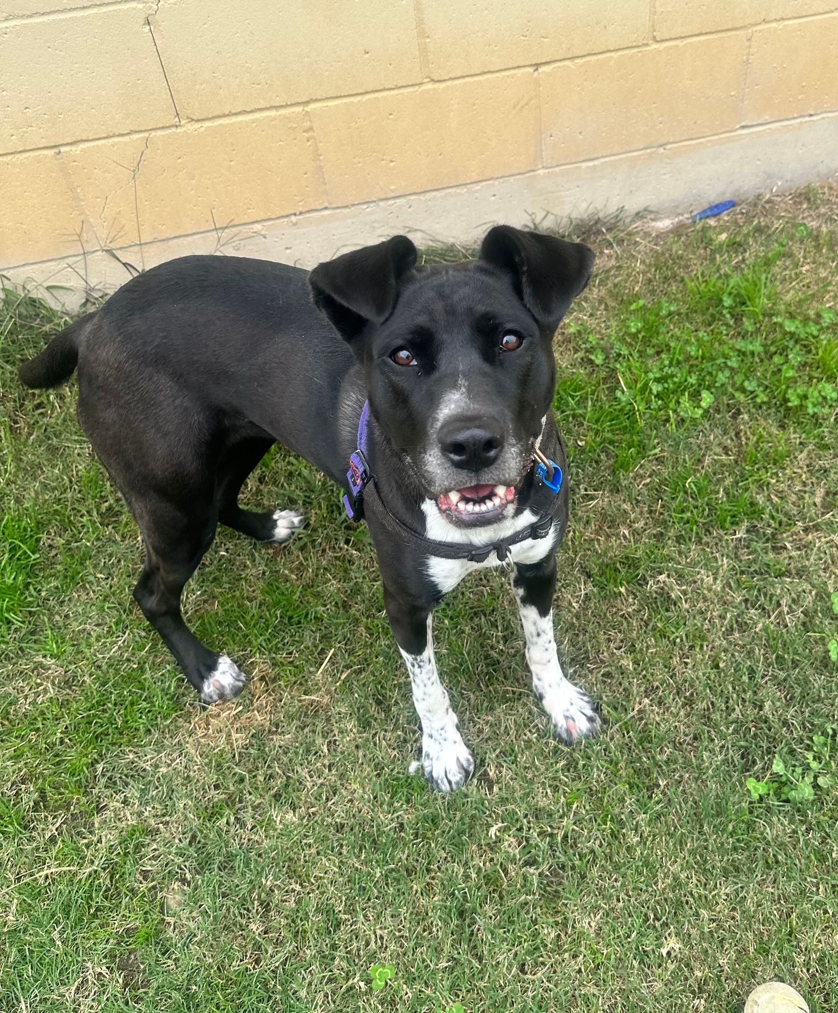 Page 552701 | RSPCA NSW - RSPCA NSW